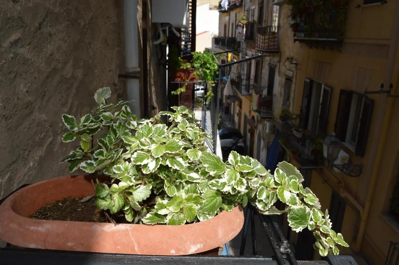 Futtitinni Home Casamia Palermo Appartement